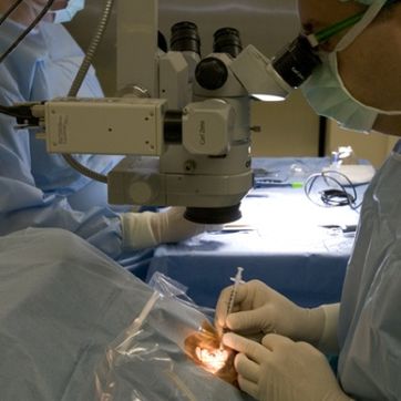 Antoni Roque Meseguer doctor en proceso de operacion